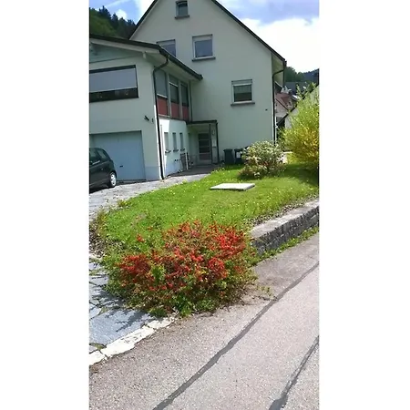 Haus Marion Apartment Todtnau