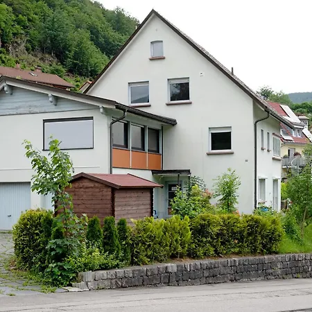 Haus Marion Appartement Todtnau
